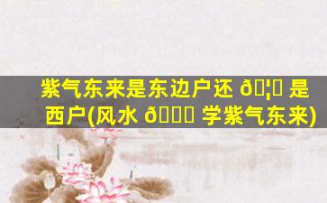 紫气东来是东边户还 🦊 是西户(风水 🐞 学紫气东来)